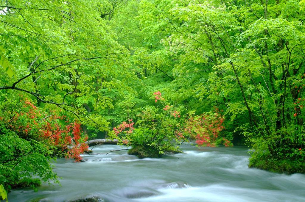 Towadako Lake View Hotel Kosaka Dış mekan fotoğraf